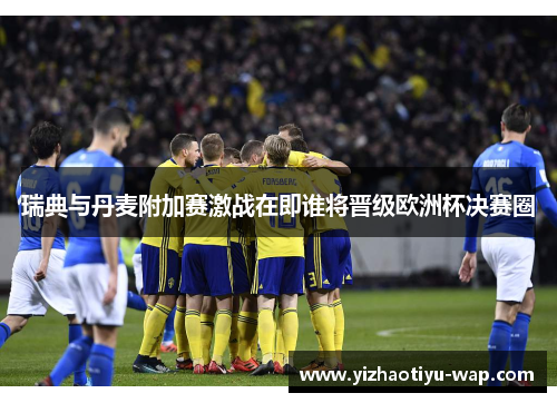 瑞典与丹麦附加赛激战在即谁将晋级欧洲杯决赛圈