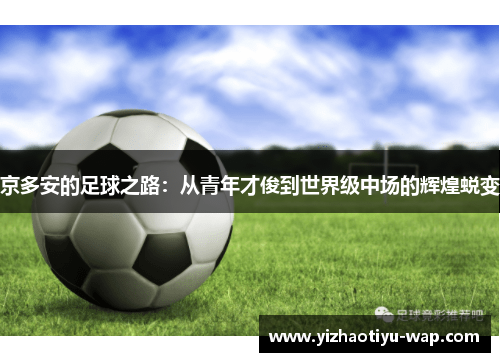 京多安的足球之路：从青年才俊到世界级中场的辉煌蜕变